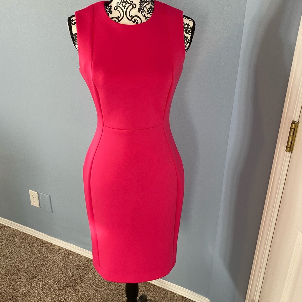 Pink Calvin Klein women’s business dress